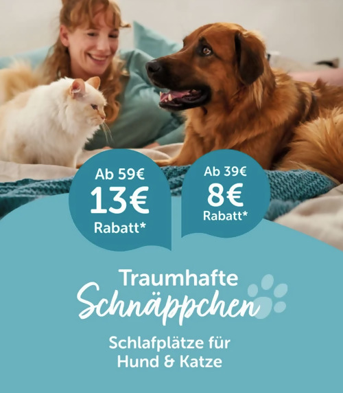 ZooRoyal.de - 8 oder 13 Rabatt auf Schlafplätze für Hund und Katze: z.B. ZooRoyal 100x100x16 cm Hunde Kuschelkissen "Enno" in Grau ZooRoyal.de - 8 oder 13 Rabatt auf Schlafplätze für Hund und Katze: z.B. ZooRoyal 100x100x16 cm Hunde Kuschelkissen "Enno" in Grau