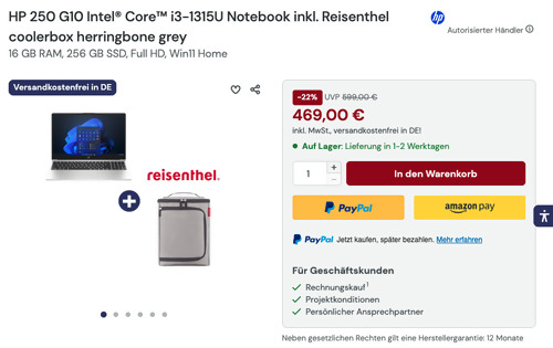 HP 250 G10 Intel Core i3-1315U 16 GB RAM 256 GB SSD Notebook inkl. Reisenthel coolerbox herringbone grey